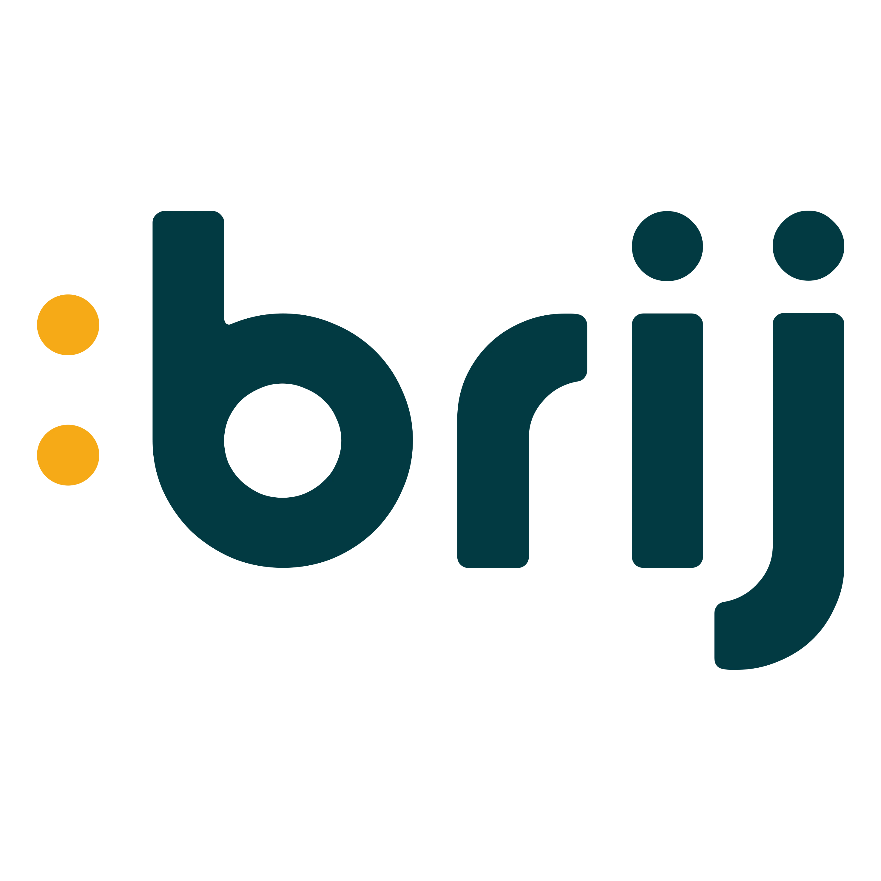 Brij logo